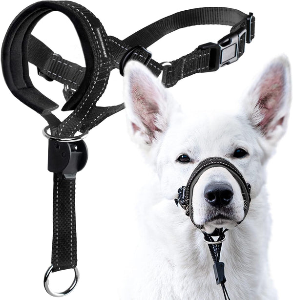 Goodboy Dog Head Halter with Safety Strap - Stops Heavy Pulling on the Leash - Padded Headcollar for Small Medium and Large Dog Sizes - Head Collar Training Guide Included (Size 2, Black)12