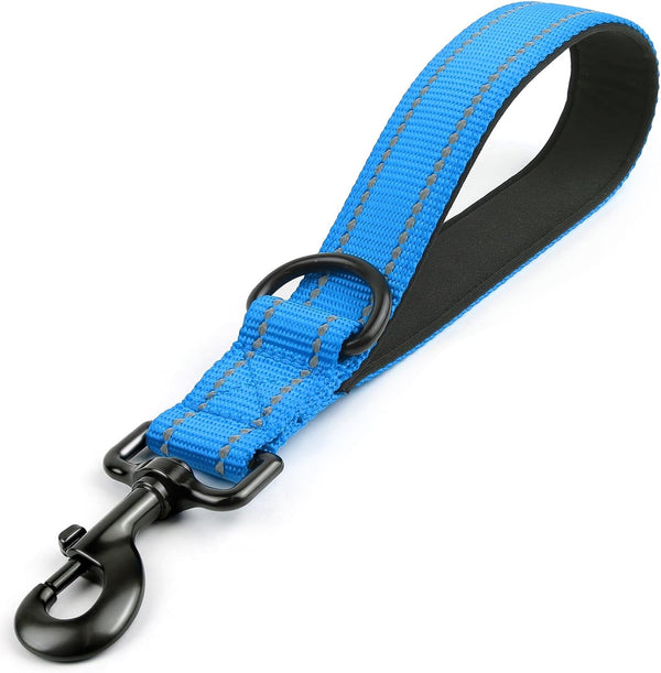 Joytale Short Dog Leash for Close Control & Training, 18", Black | Padded Comfort Handle, Reinforced Nylon Webbing, Secure Metal Clip, for Busy Streets & Heel Training18