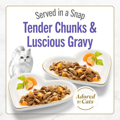 Purina Fancy Feast Petites with Roasted Turkey Entrée with Sweet Potato in Gravy Gourmet Wet Cat Food - (Pack of 12) 2.8 Oz. Tubs2
