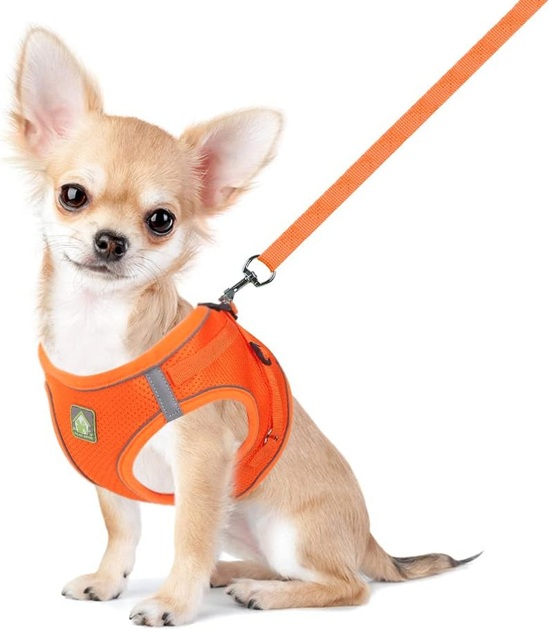 feimax-dog-harness-and-leash-set-no-pull-breathable-soft-mesh-puppy-vest-harness-reflective-adjustable-pet-harnesses-for-small-medium-dogs-and-cats-outdoor-easy-control-for-walking