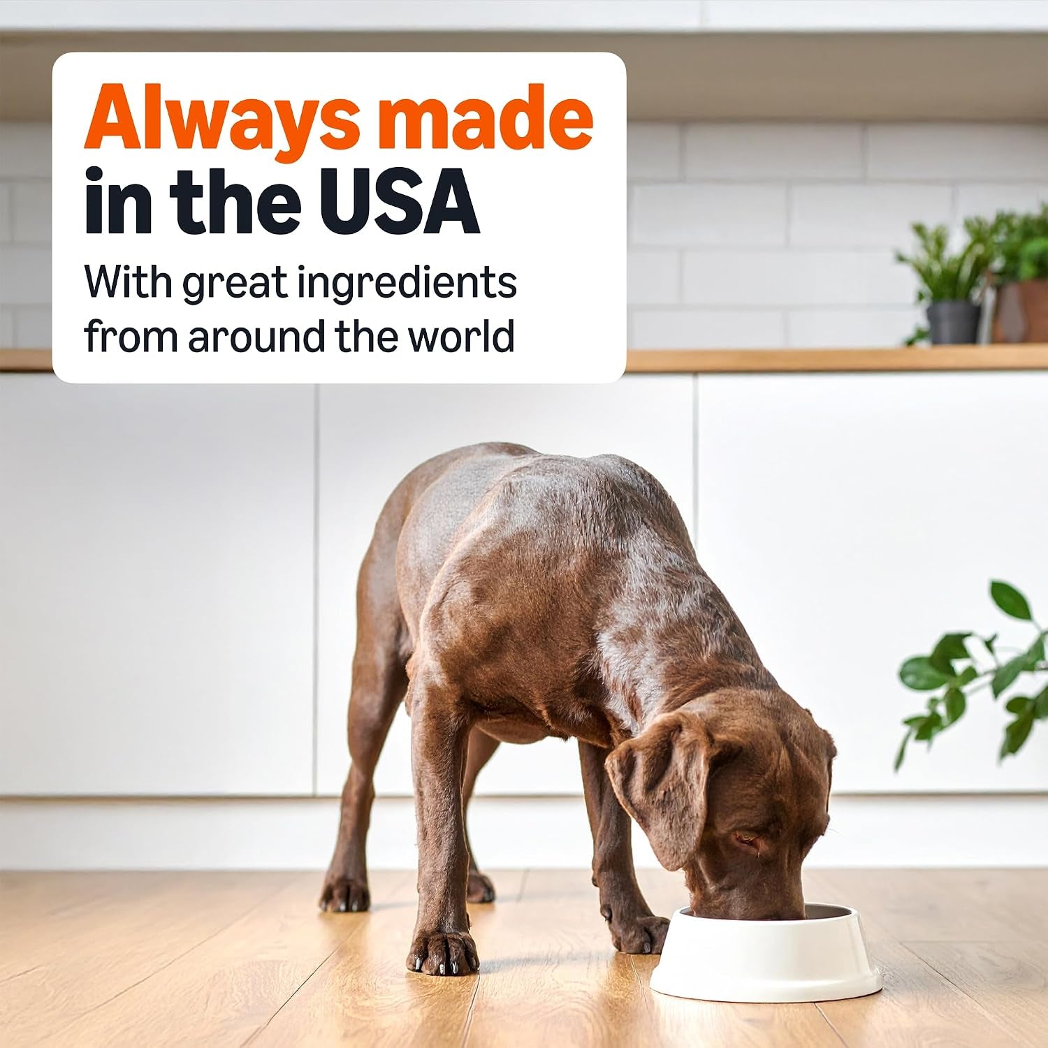 amazon-basics-wet-dog-food-meaty-loaf-variety-pack-filet-mignon-flavor-and-chicken-rice-dinner-made-with-real-chicken-and-beef-13-2-oz-can-6-cans-of-each-flavor-12-cans-in-total