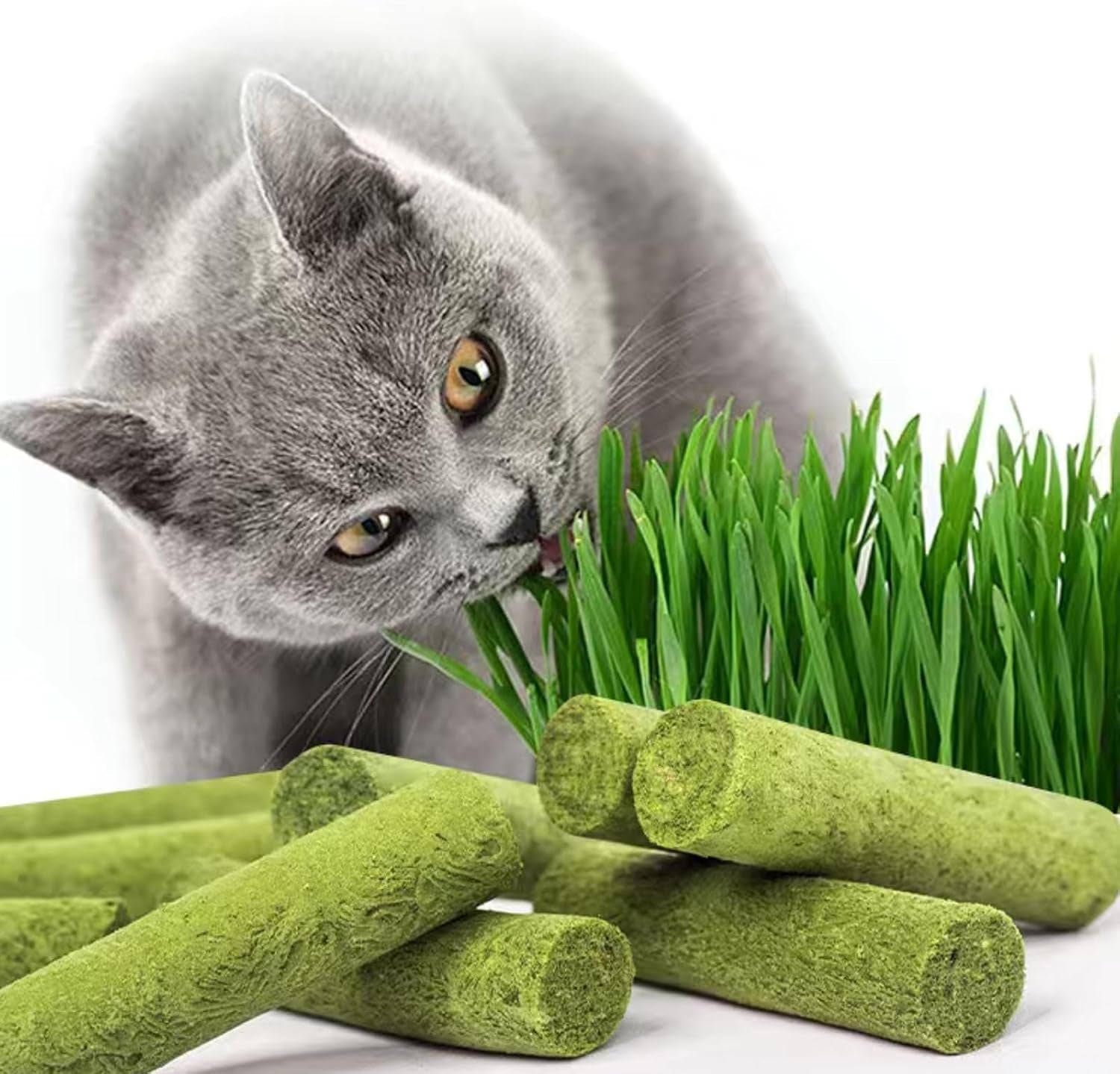30g-cat-grass-sticks-freeze-dried-cats-grass-teething-stick-edible-cat-chew-toy-for-teeth-cleaning-dental-health-and-hairball-removal