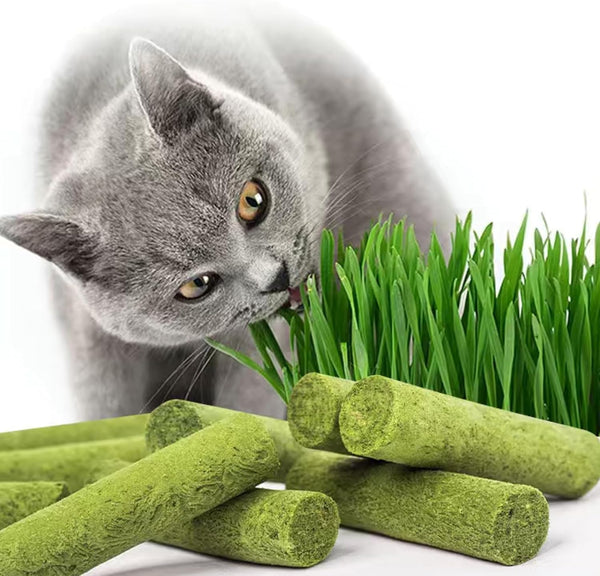 30G Cat Grass Sticks, Freeze Dried Cats Grass Teething Stick, Edible Cat Chew Toy for Teeth Cleaning Dental Health and Hairball Removal1