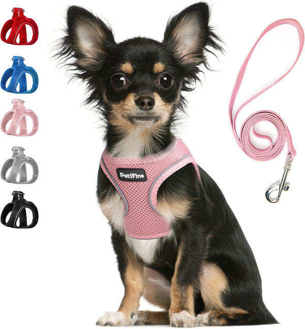 Small Dog Harness and Leash Set Breathable Step-In Puppy Cat Harness,Xs | Reflective for Safe Easy Walking,Soft Light Puppy Vest,Escape Proof,No Pull Harness for Dogs,All Weather Air Mesh Harness1