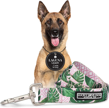 Lucky Love Dog Leash, Beautiful Vivid Patterns, Durable & Long Lasting (Blackbird, Large)17