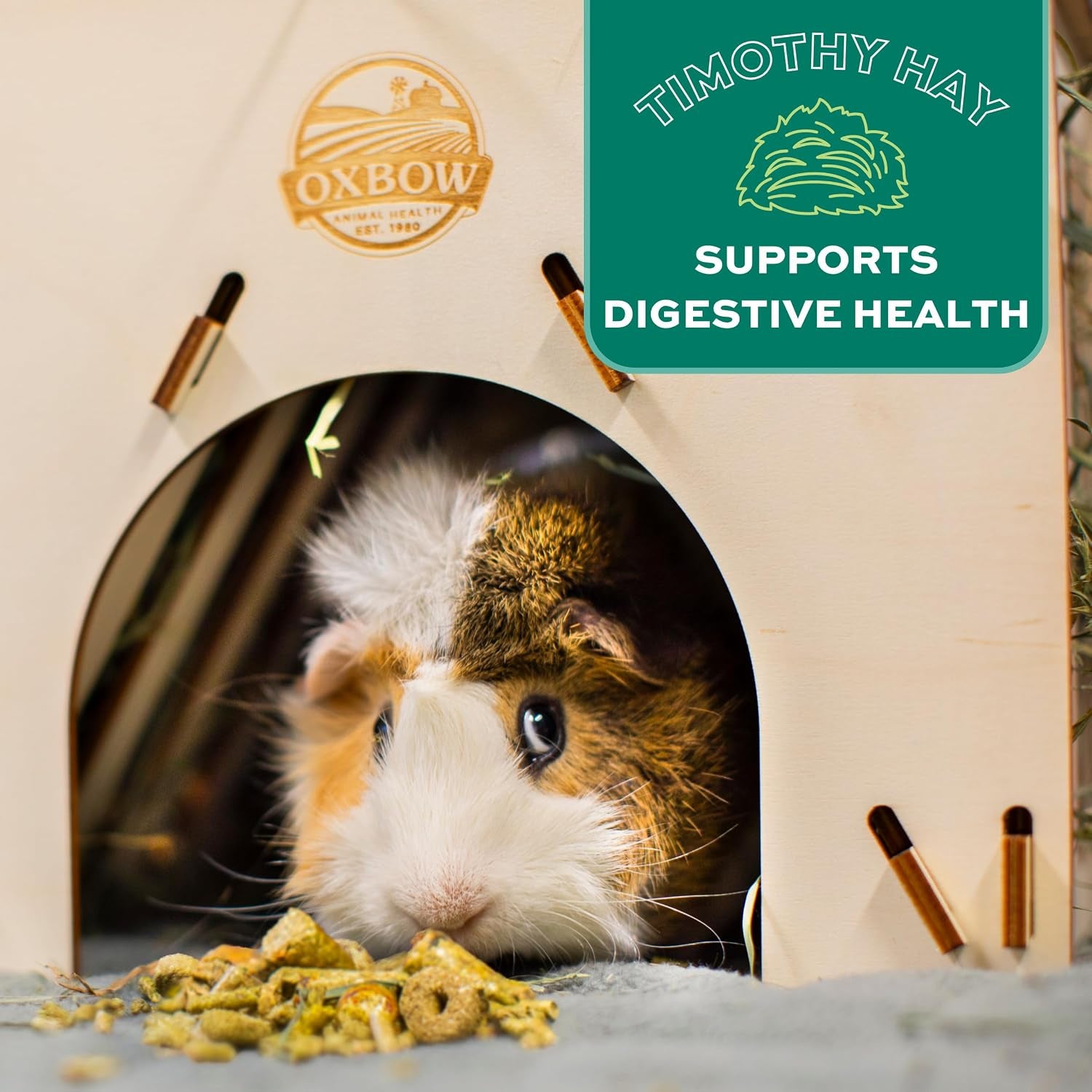 oxbow-forage-wise-adult-guinea-pig-food-foraging-pellet-mix-4-lb-guinea-pig-pellets-foraging-mix-with-timothy-hay-and-vitamin-c-prevents-selective-feeding-no-artificials-made-in-usa
