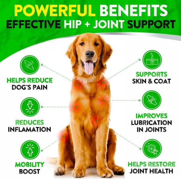 Hemp Hip and Joint Supplement for Dogs - Glucosamine for Dogs - 170 Dog Joint Pain Relief Treats - Chondroitin, Hemp Oil, MSM - Mobility & Flexibility Support - Advanced Care Health - Made in USA2