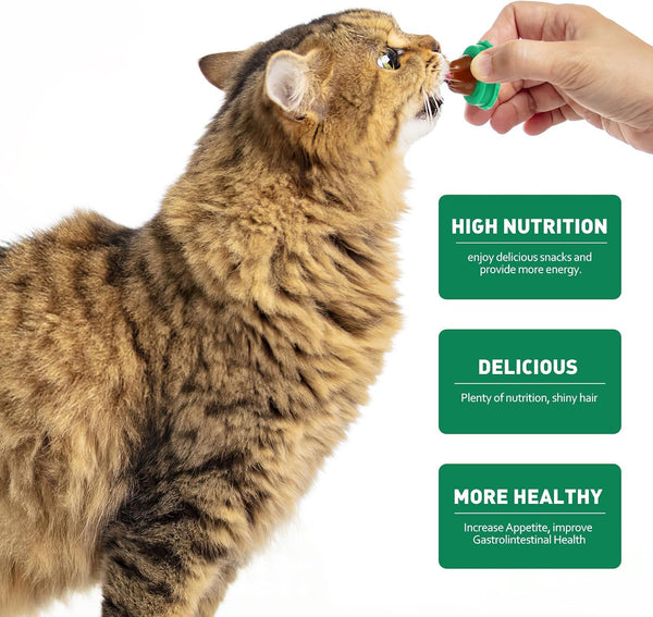Balacoo 9 Pack Cat Snacks Candy Ball, Cat Energy Ball Toys Includes Catnip | Adhesive Wall Lickable Sugar Balls, Edible Kitty Toys - Healthy Safe Cat Treats Balls, Kitten Chew Toys for Teeth Cleaning9