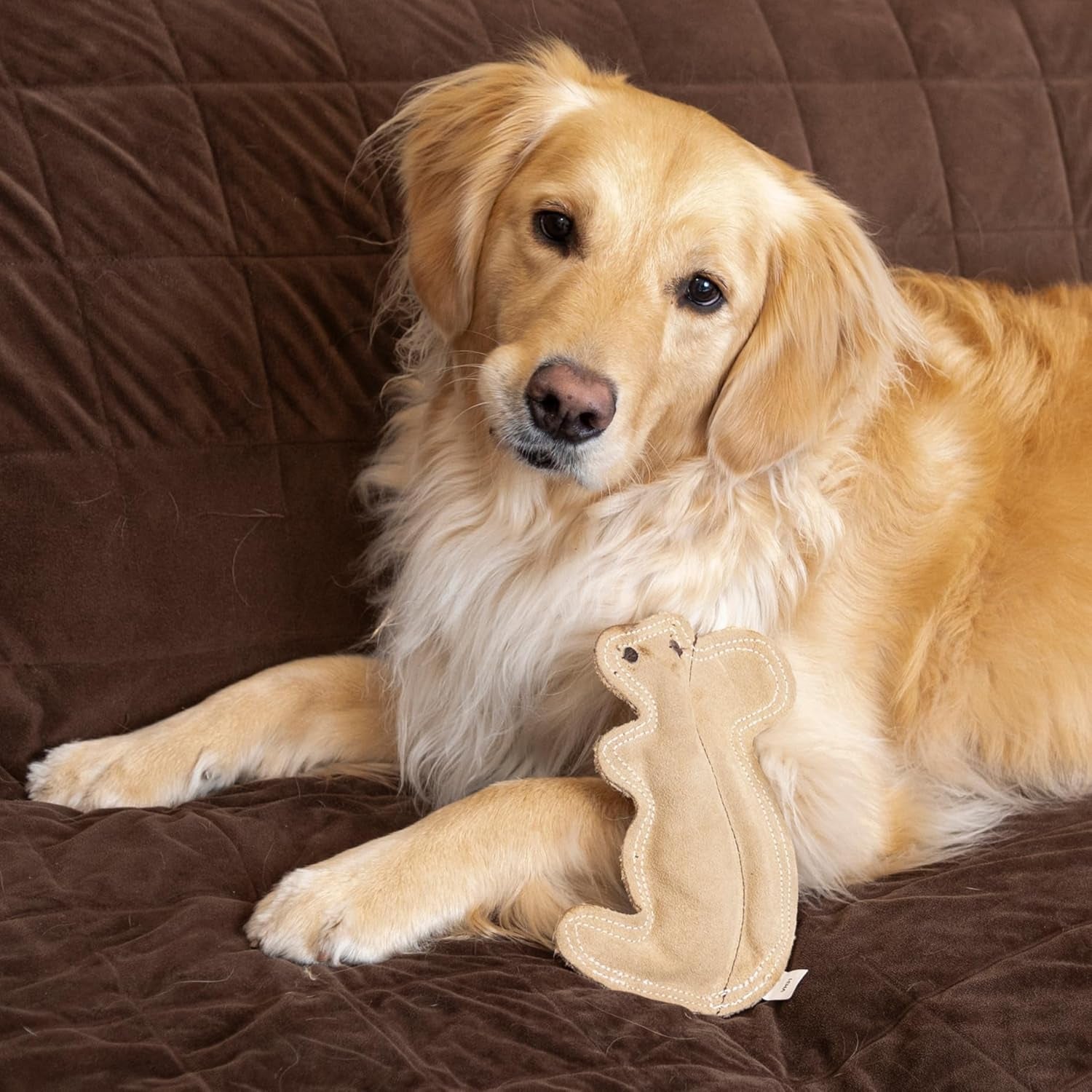 spot-dura-fused-leather-squirrel-dog-toy-real-leather-jute-fabric-double-stitched-durable-soft-stuffed-squeaky-interactive-chew-toy-for-moderate-chewers-small-medium-dogs-8in