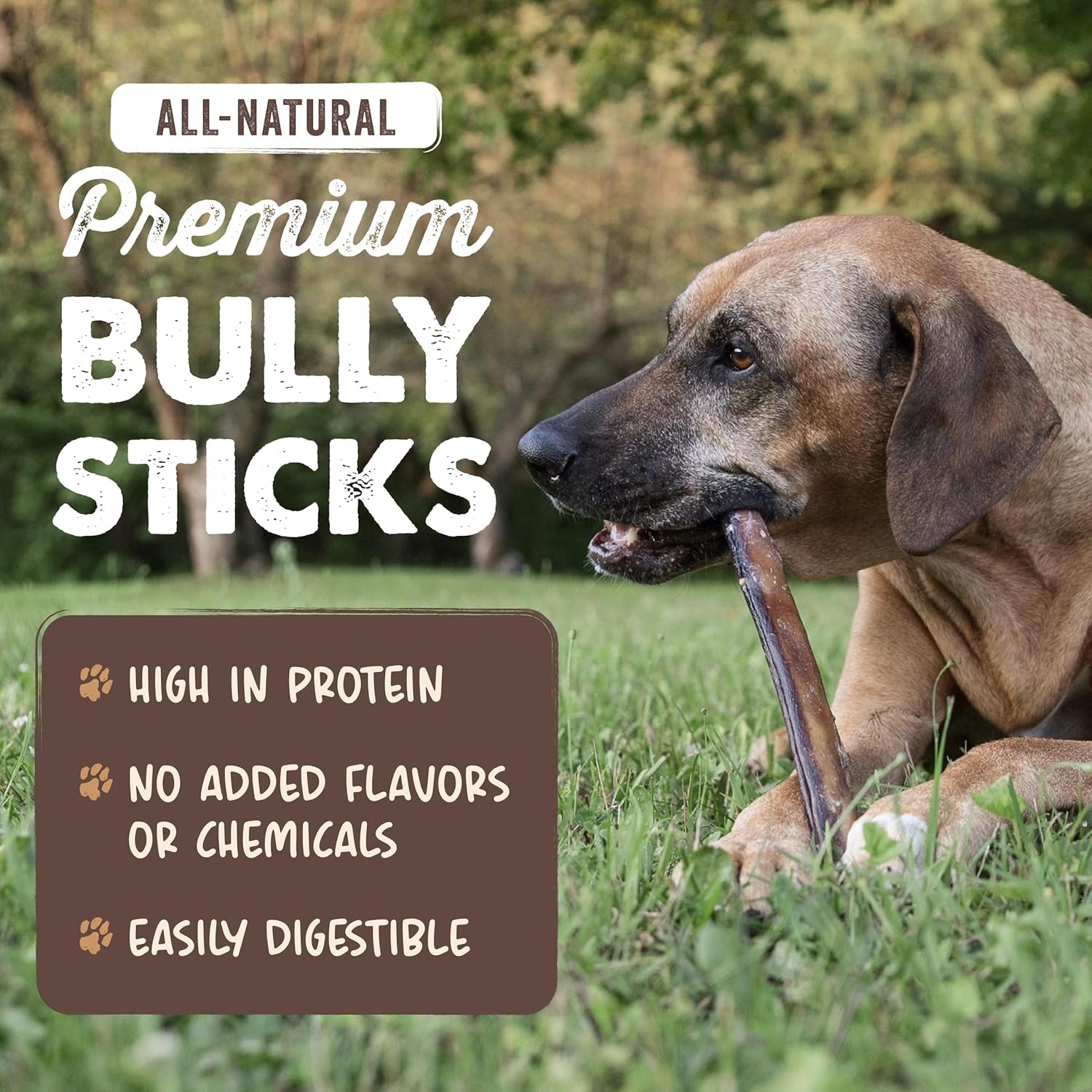 mighty-paw-12-bully-sticks-for-dogs-large-medium-and-small-breeds-chew-single-ingredient-grass-fed-lower-odor-5-pack-high-protein-boredom-buster-all-natural-sticks