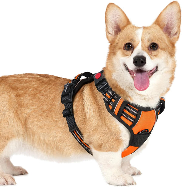 Rabbitgoo Dog Harness Medium Sized, Updated Easy on & off with 3 Buckles | No Pull No Choke, Walking with 2 Clips and Handle, Adjustable Soft Reflective, Blue, Medium37