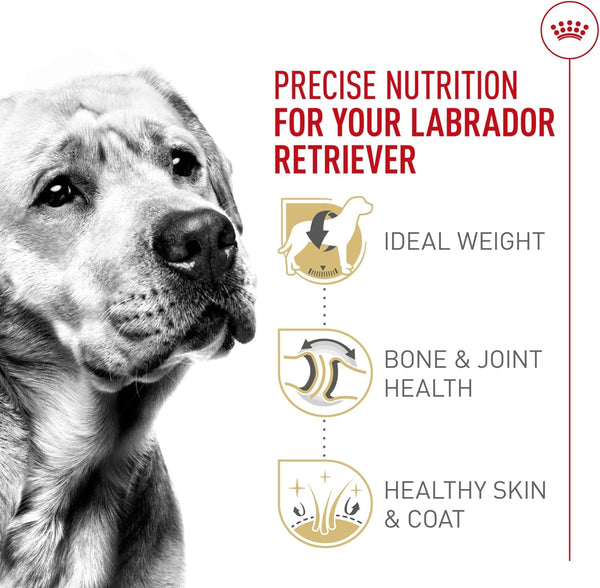 ROYAL CANIN Breed Health Nutrition Labrador Retriever Adult Dry Dog Food, 30 Lb Bag4