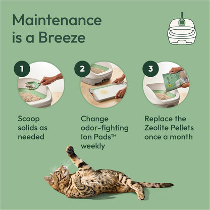 Purina Tidy Cats Litter Box System, BREEZE System Starter Kit Litter Box, Litter Pellets & Pads6