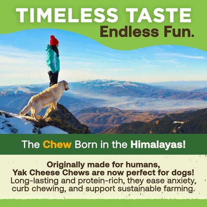 Ecokind Yak Cheese Himalayan Dog Chews, Yak Chews for Large Dogs, 4-5 Bones | 1 Lb, Long Lasting for Aggressive Chewers, Only 3 Ingredient Natural High Protein Dental Dog Treats, No Additives or Lactose7