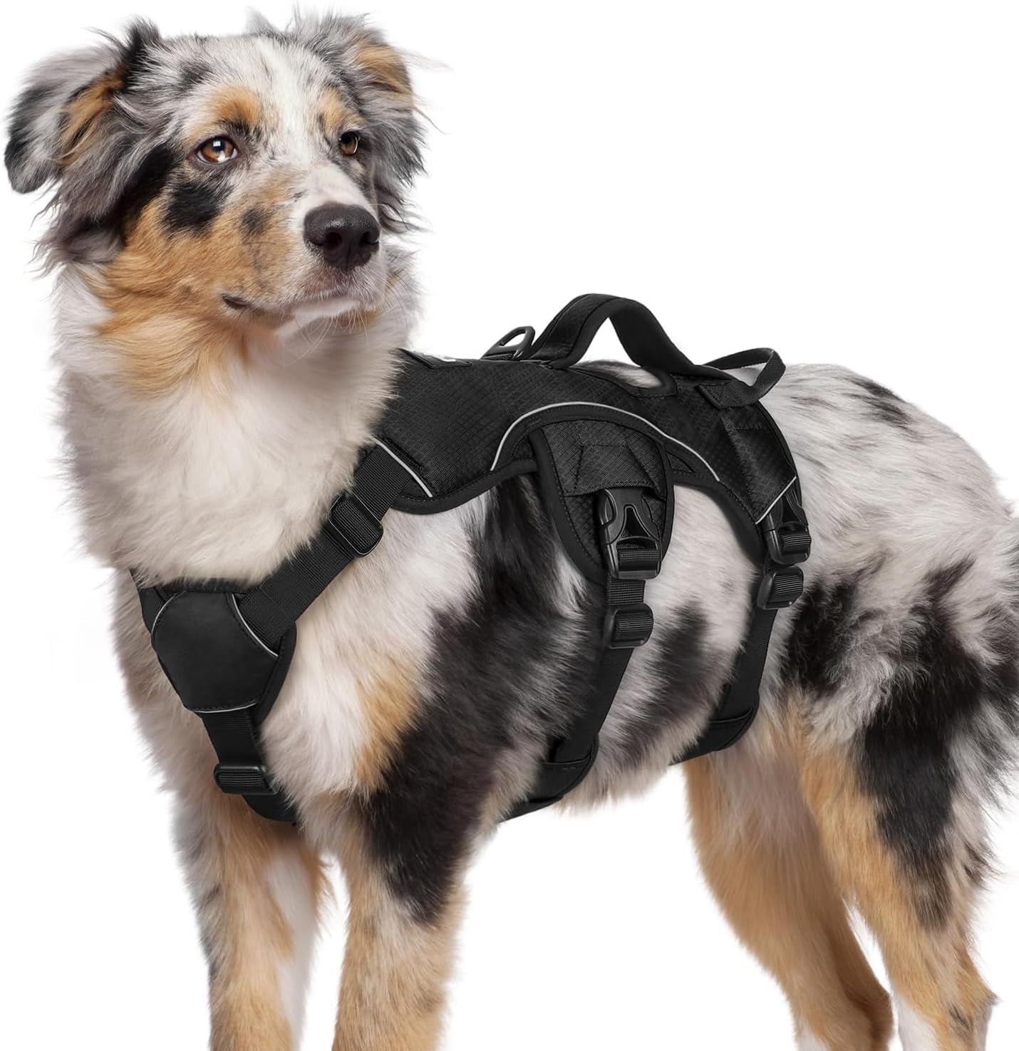rabbitgoo-escape-proof-dog-harness-for-large-no-pull-with-lift-handle-no-escape-full-soft-padded-reflective-adjustable-vest-leash-clip-for-walking-hiking-training-black-large