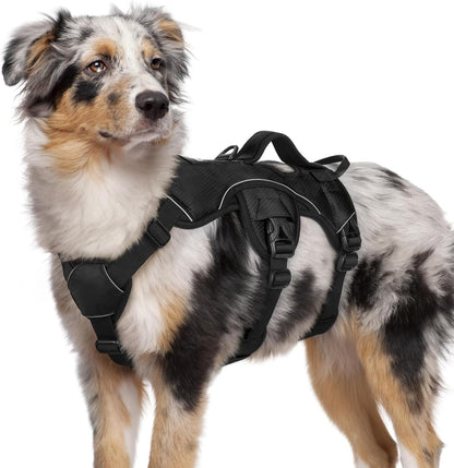 Rabbitgoo Escape Proof Dog Harness for Large, No Pull with Lift Handle | No Escape, Full Soft Padded, Reflective Adjustable Vest, Leash Clip for Walking Hiking Training, Black, Large46