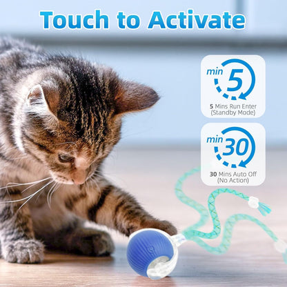 Interactive Cat Toys for Indoor Cats, Automatic Kitten Toys for Bored Indoor Adult Cats, Smart Kitten Rolling Ball Moving Balls Toy, Rechargeable Dog Cat Ball for Enrichment Exercise (Red+Blue)4