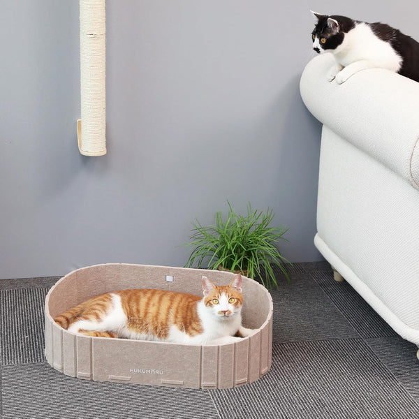 FUKUMARU Cat Scratcher, 24 Inch Sofa Shape Cat Scratching Bed Couch Indoor | Oval Felt Cat Scratcher Bed with Reversible Detachable Cat Scratching Boards, round Cats Scratch Pads Refill, Beige8