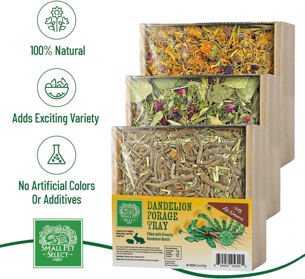 Small Pet Select Forage Tray Bundle, Rabbits & Guinea Pigs, 3-Pack | Dandelion, Flower & Herb Mix, 2.5 Oz Each, Natural Foraging Enrichment for Rabbits, Guinea Pigs & Small Pets3