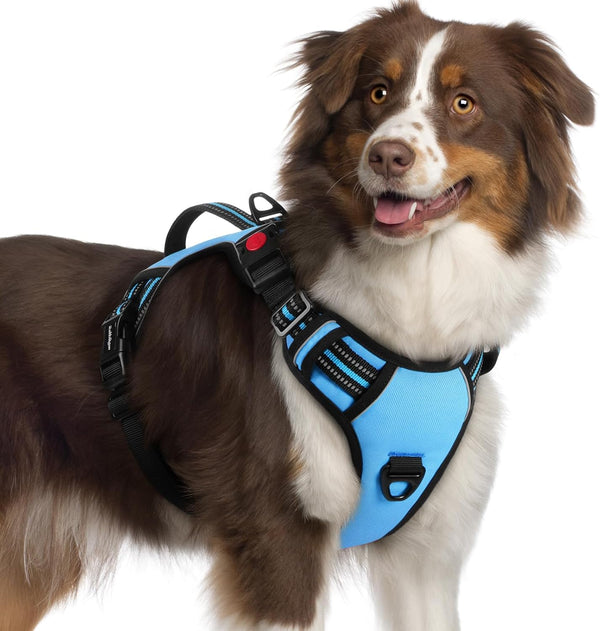 Rabbitgoo Large Dog Harness, Easy Wear with 3 Buckles and Lift Handle | No Pull with Front Clip for Walking, Adjustable Soft Padded, Reflective, Easy Control, Pink, Large9