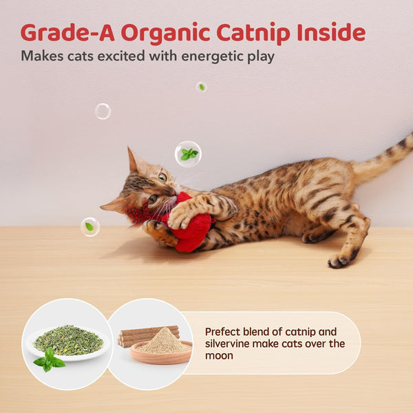 Potaroma Cat Toys Chirping Birds 2 Pcs with Catnip Silvervine, Interactive Cat Kicker, Lifelike Birdie Tweets, Indoor Kitty Kitten Exercise Toys 4.0" | Cat Kicker, Lifelike Birdie Tweets, Indoor Kitty Kitten Exercise Toys 4.0 Inches6