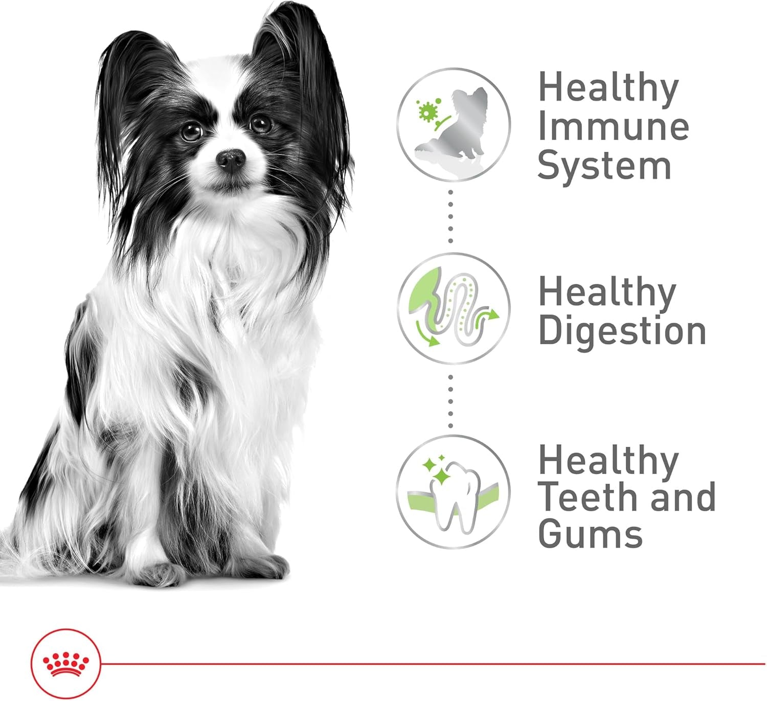 royal-canin-size-health-nutrition-x-small-7-adult-dry-dog-food-2-5-lb-bag
