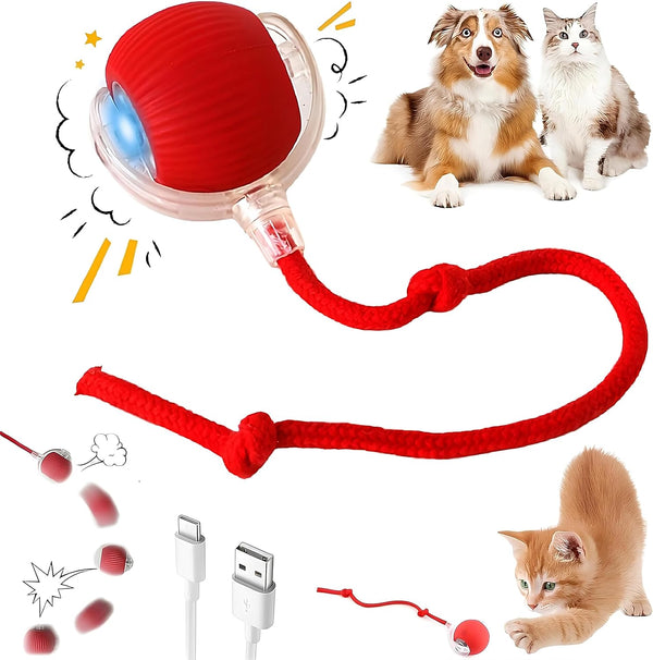 Purrmitive 2026 Durable Interactive Cat Toys for Indoor Cats, Dog Toys Ball, Rolling Pet Ball, Smart Automatic Cat Chase Balls Toy, Interactive Dog Toys Speedy Tail,Kitten & Cat Toys Interactive (Red)1