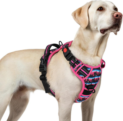 Rabbitgoo Dog Harness Medium Sized, Updated Easy on & off with 3 Buckles | No Pull No Choke, Walking with 2 Clips and Handle, Adjustable Soft Reflective, Blue, Medium28