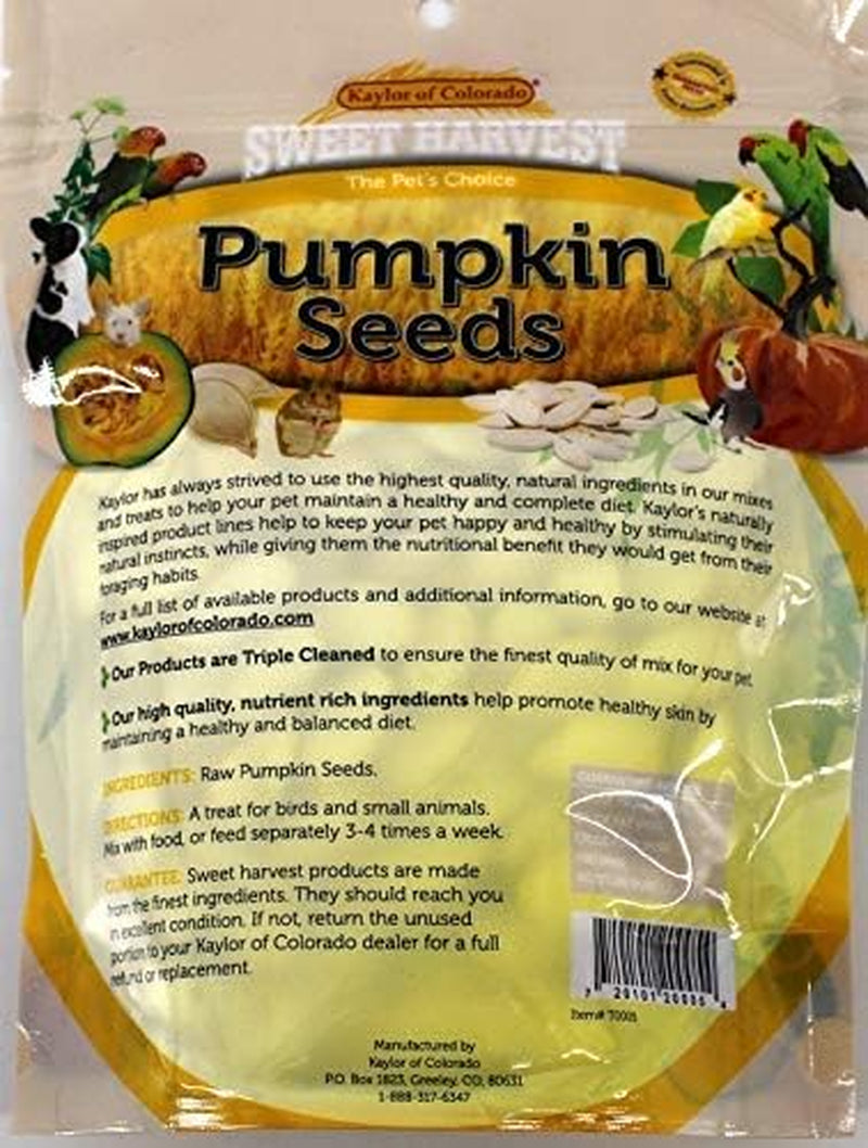 pumpkin-seeds-5-oz-bag-real-pumpkin-seeds-for-birds-and-small-animals-rabbits-hamsters-mice-gerbils-rats-cockatiels-parrots-macaws-conures