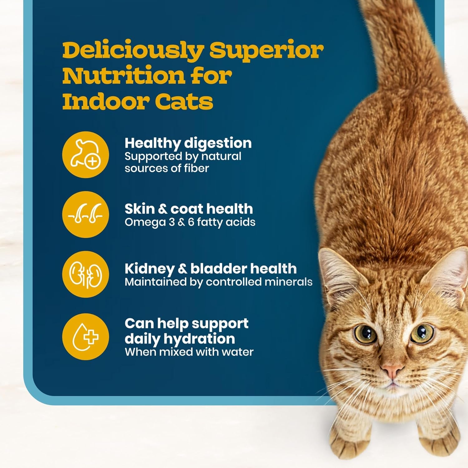 blue-buffalo-tastefuls-irresistible-gravy-experience-chicken-brown-rice-recipe-dry-indoor-cat-food-for-adult-cats-deliciously-healthy-natural-cat-food-supports-digestion-coat-health-3-lbs