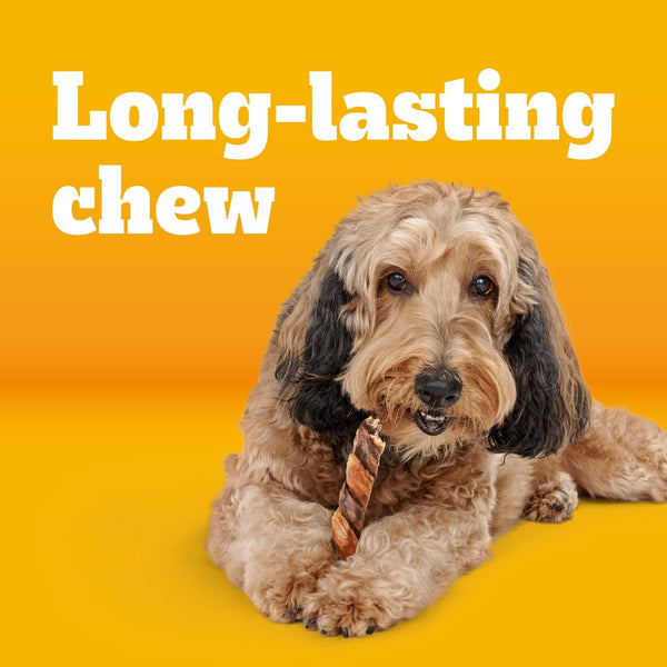Pedigree Twisty Chews Medium/Large Dog Treats, Chicken & Beef, 16 Count | Long-Lasting Dental Chews, Rawhide-Free, Twisted Design, Helps Clean Teeth, Easy to Digest, Includes 4 Packs of 4 Treats2