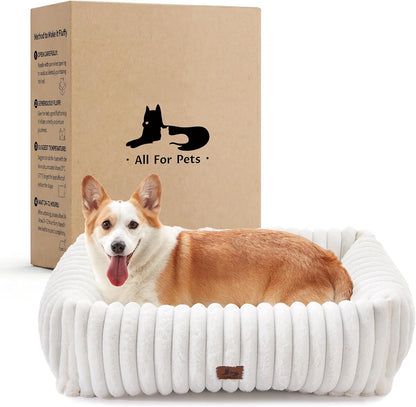 Cute Dog Bed for Small Dogs & Cats,Washable Fluffy Cat Beds for Indoor Cats, Rectangle Orthopedic Memory Foam Puppy Beds with Anti-Slip Bottom, 20 X19 X 7 Inches, Cream(20X19X6Inchs)19