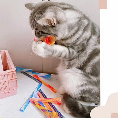 ISMARTEN Cat Spring Toys, 30 Packs Cat Tube Spring Toy Interactive Cat Toy for Indoor Cats, Plastic Spring Coils Attract Cats to Swat, Bite, Hunt(Random Color) (30 Packs)6