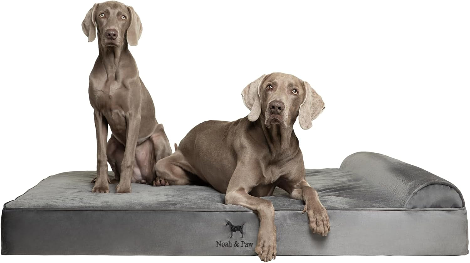 noah-paw-large-dog-bed-35x25x8-7-inch-orthopedic-dog-beds-eggshell-memory-foam-infused-with-cooling-gel-water-resistant-machine-washable-includes-inner-cover-velvet-collection