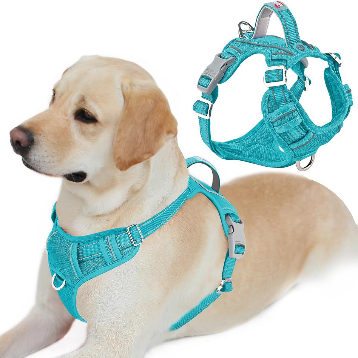 barkbay-dog-harness-no-pull-with-id-tag-pocket-heavy-duty-reflective-easy-control-for-large-dogsblue-l