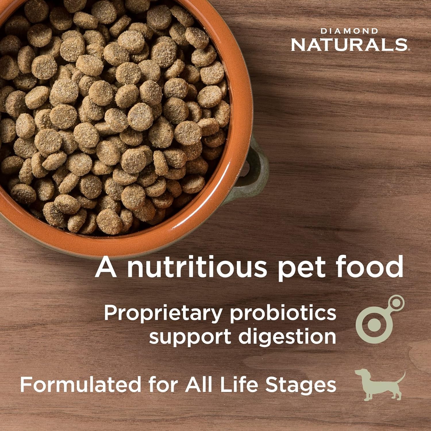 diamond-naturals-skin-coat-puppy-adult-senior-dry-dog-food-salmon-30lb-real-salmon-potato-omega-fatty-acids-help-support-healthy-skin-shiny-coat-guaranteed-probiotics-superfoods