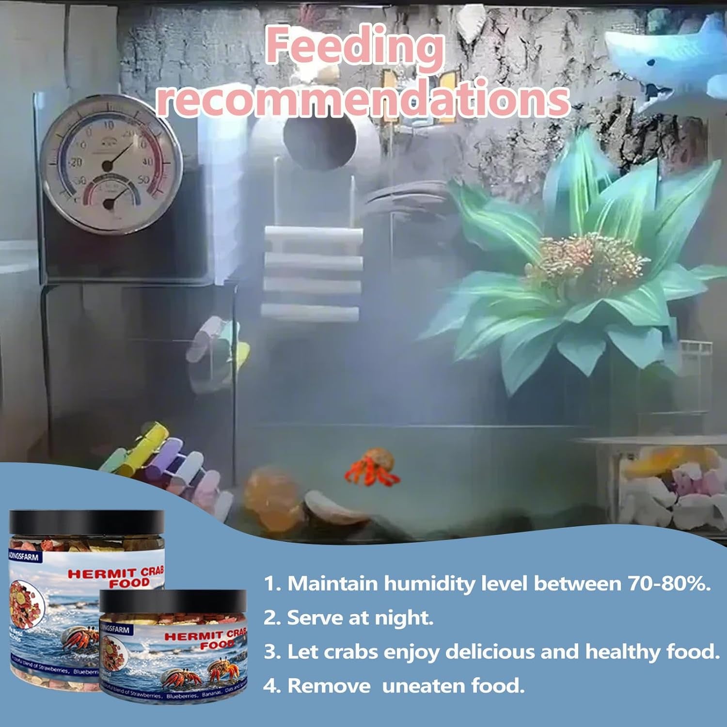 jadingsfarm-fruity-buffet-blend-diet-4-4-oz-food-for-hermit-crabs-all-natural-hermit-crab-food-hermit-crab-treats-high-protein-nutrient-blend-diet-of-oats-blueberries-strawberry-banana-sprouted-seeds-mix-for-hermit-crabs