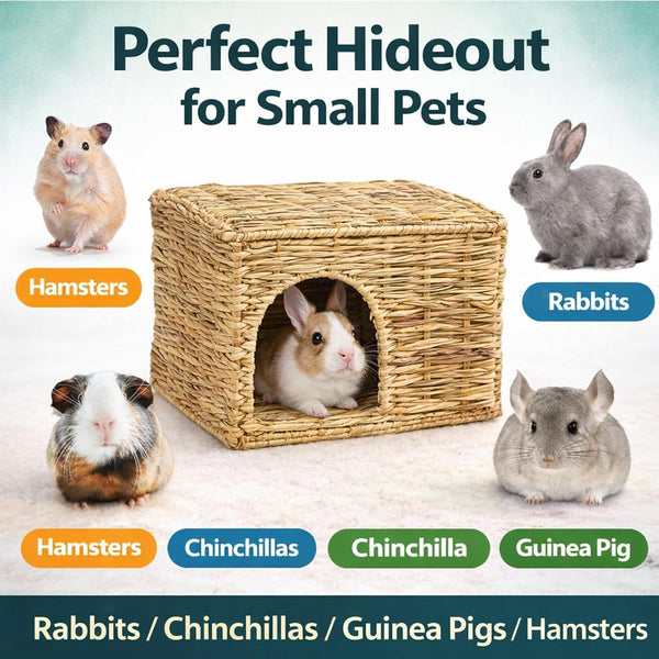 HERCOCCI Extra Large Grass House for Rabbit, Foldable & Comfortable House | Small Animal Hut Play Hideaway Bed Hay Mat Chew Toy for Bunny Guinea Pig Hamster Chinchilla (1 Pack)7