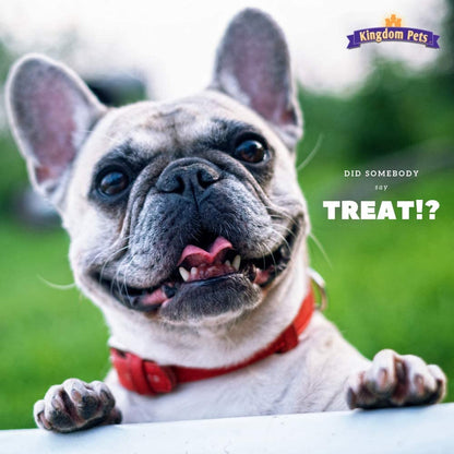 Duck Jerky & Sweet Potato Dog Treats with Only 4 Ingredients and No Fillers, 3 Pound Bag3