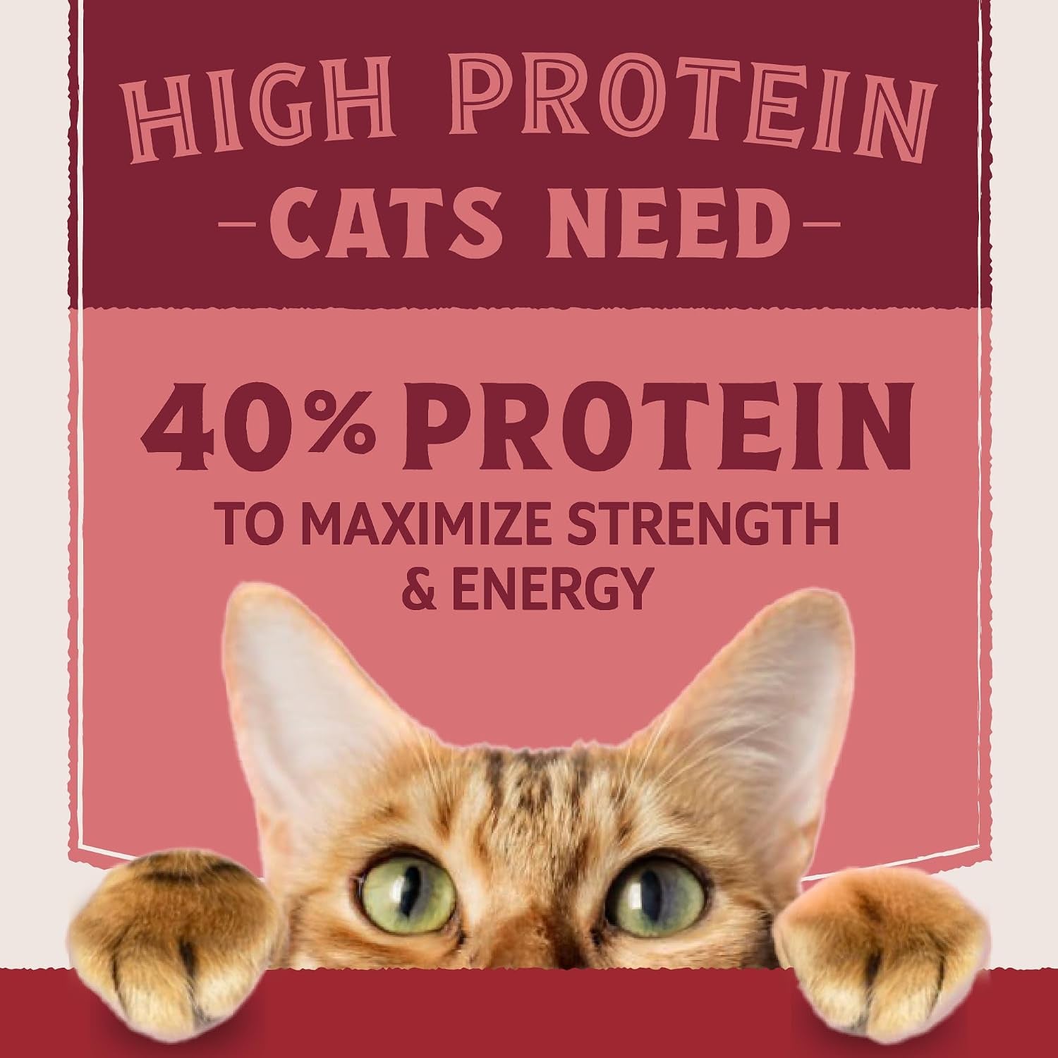 natural-balance-ultra-protein-dry-cat-food-real-salmon-chicken-meal-recipe-with-chicken-liver-chicken-hearts-10-lbs