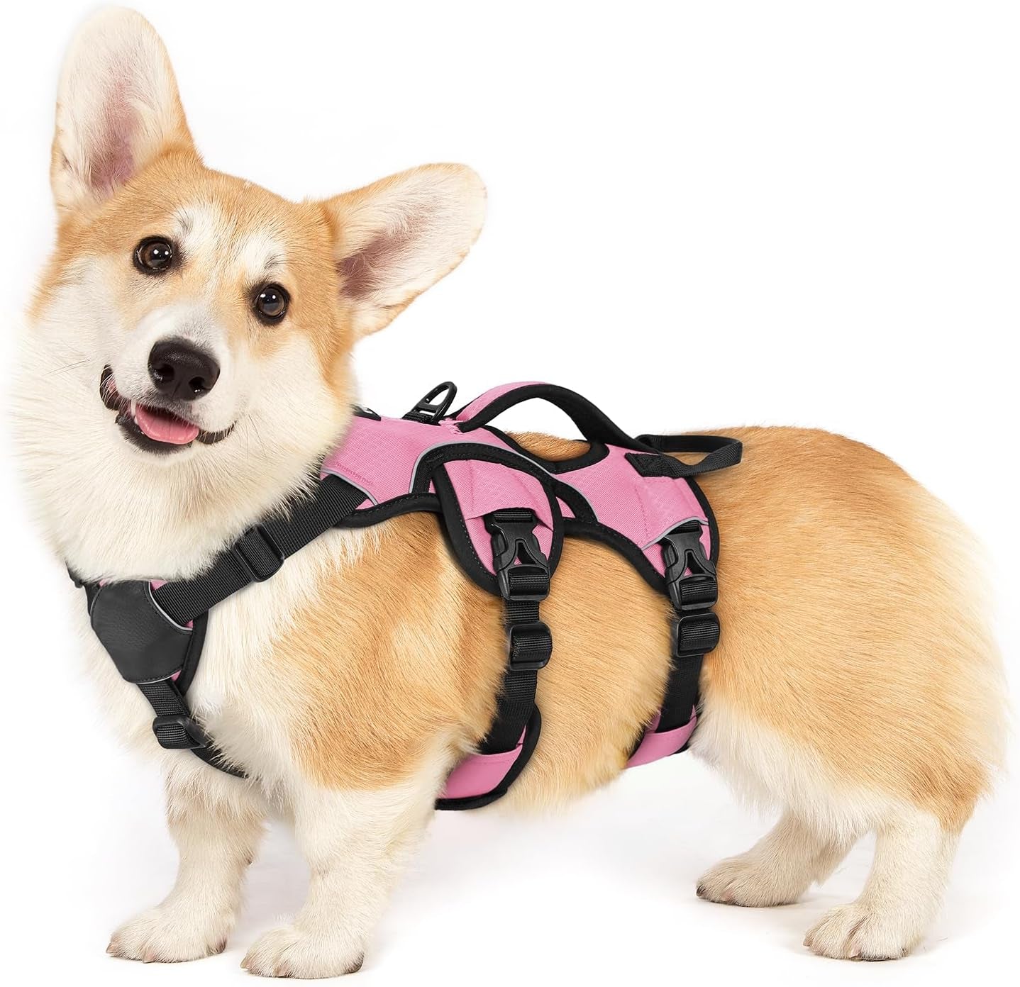 rabbitgoo-escape-proof-dog-harness-for-large-no-pull-with-lift-handle-no-escape-full-soft-padded-reflective-adjustable-vest-leash-clip-for-walking-hiking-training-black-large