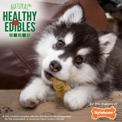 Nylabone Healthy Edibles Puppy Dog Treats, Lamb & Apple Flavor, 12 Count | Natural Puppy Treats, USA Made, Highly Digestible, Vet Recommended, Small Dog Treats for Puppies up to 25 Lbs5