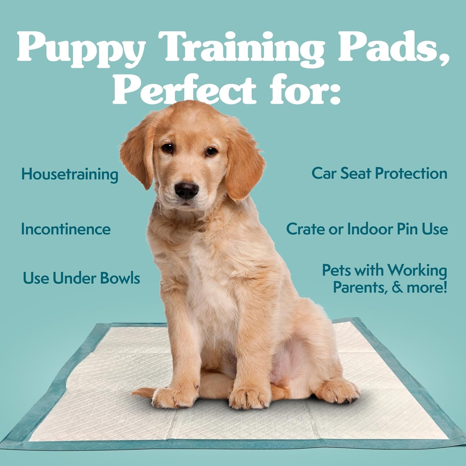simple-solution-xl-pee-pads-for-dogs-leak-proof-dog-pads-28x30-100-count-dog-training-pads-puppy-potty-training-housebreaking-disposable-pee-pads-floor-protection-indoor-potty-puppy-essentials