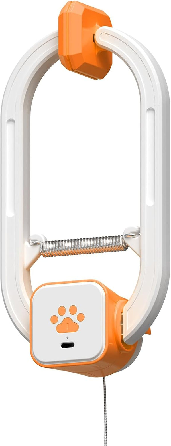 Interactive Cat Toy, Electric Cat Teaser, Door Clip, 2 Motion Modes,Gray | 360° Rotation • Random Jumping • Type-C Rechargeable • Door Clip Design • for Indoor Cats10
