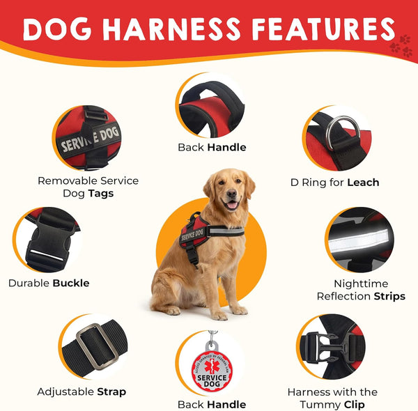 Service Dog Vest, ID Tag 50 ADA Information Cards - Harness with Patchs - M | MEDIUM (Chest: 21.5 - 26 Inch) Durable Metal Tag, 2-Sided Service Animal Cards. ESA Accessory Set4