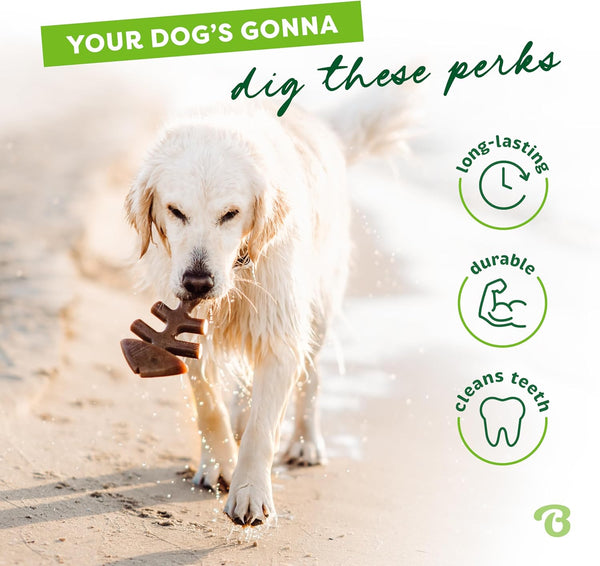 Benebone Fishbone Durable Dog Chew Toy for Aggressive Chewers, Real Fish, Made in USA, Medium3