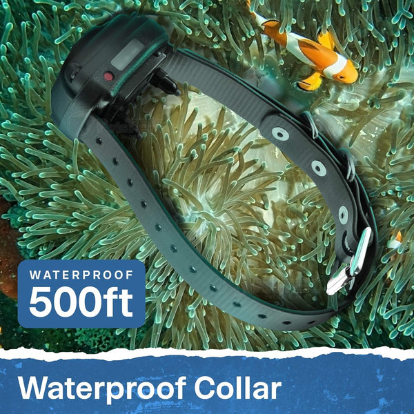 Educator ET-300 Mini E Collar for Dog Training with Remote - 1/2 Mile Range, Waterproof, 100 Blunt Stimulation Levels, Tone or Vibration Mode, Night Light Tracking for Small, Medium & Large Dogs7