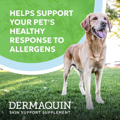 Nutramax Dermaquin Dog Supplement, Support for Itchy Skin, Soft Chews, 60Ct2
