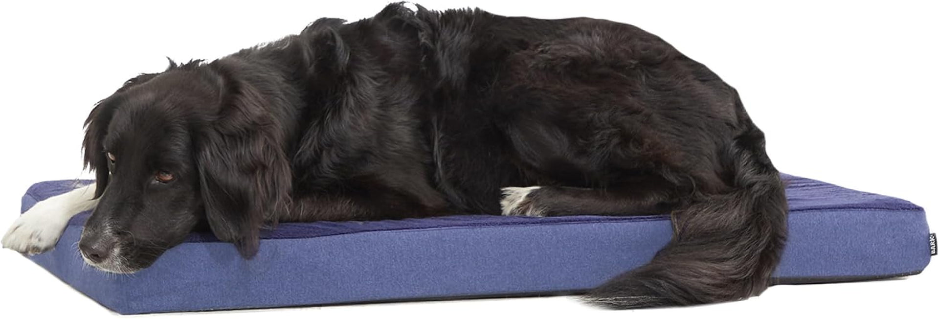 barkbox-orthopedic-dog-bed-large-with-memory-foam-comfortable-durable-machine-washable-pet-bed-grey