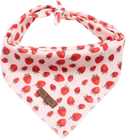 Lionet Paws Dog Bandana for Small Medium Large Dogs, Cat Kerchief Blue DOIT, Triangle Bibs Scarf for Girl or Boy33